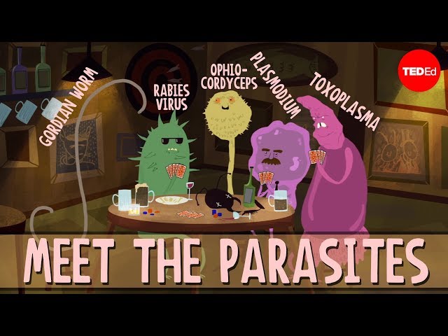 How parasites change their host's behavior - Jaap de Roode