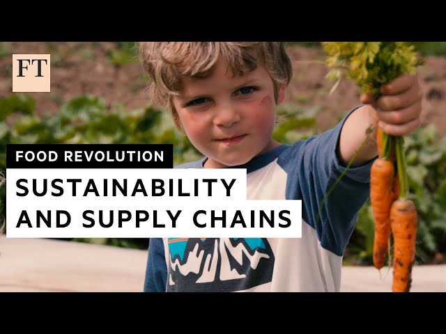How a farm-to-plate restaurant coped with Covid | FT Food Revolution