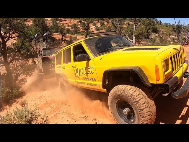 Toyota and Jeep join forces to save the Wildcat!!