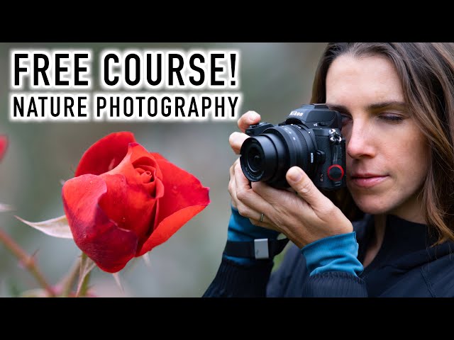 FREE Complete Photography Course Added to the Library! Create Meaningful Nature Photography