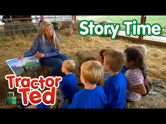 Story Time On The Farm 📚 | Tractor Ted Compilation | Tractor Ted Official Channel