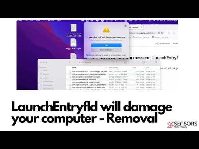 LaunchEntryfld Will Damage Your Computer Mac - Removal