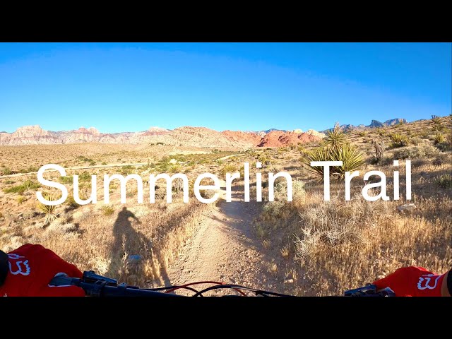 Local Summerlin Vegas Trail - Into The Sun - 2020 Trek Fuel Ex5 - DVO Diamond and Topaz Air 3