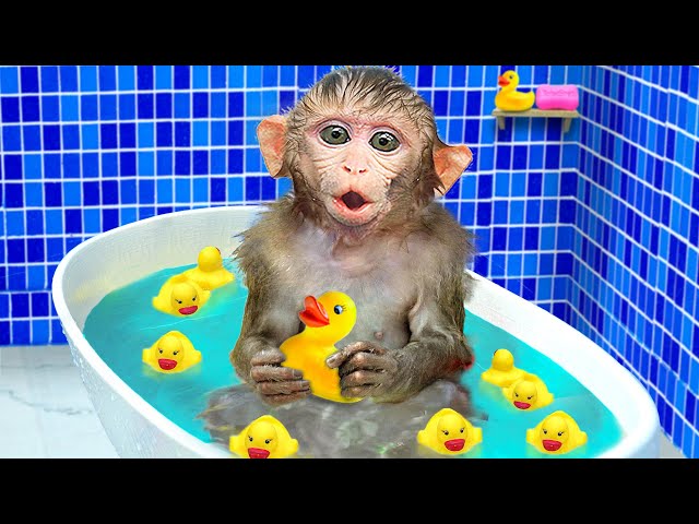 KiKi Monkey bathing in the toilet with ducklings and go shopping Kinder Joy eggs | KUDO ANIMAL KIKI