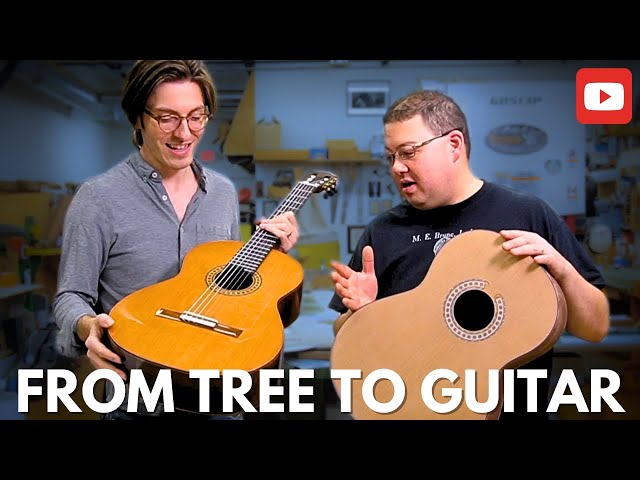 The Journey from Tree to Guitar! 🎸