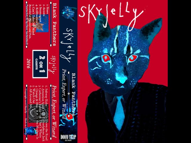 Skyjelly : Blank Panthers / Priest, Expert, or Wizard
