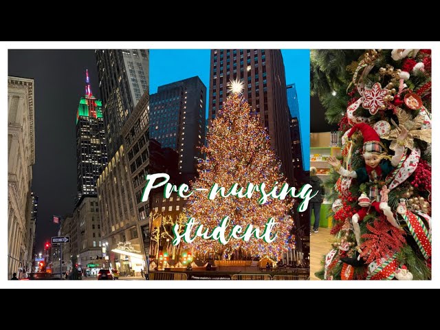 [뉴욕유학생🇺🇸Vlog]  Pre-nursing student | 해부학 시험 공부 | 뉴욕 크리스마스 | 아이스 스케이팅 | 파이널기간 | 뽀모도로 공부법