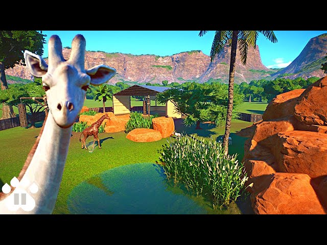 Our White Giraffe meets the Scimitar Horned Oryx | Eco-Zoo | Planet Zoo Franchise Mode Ep22