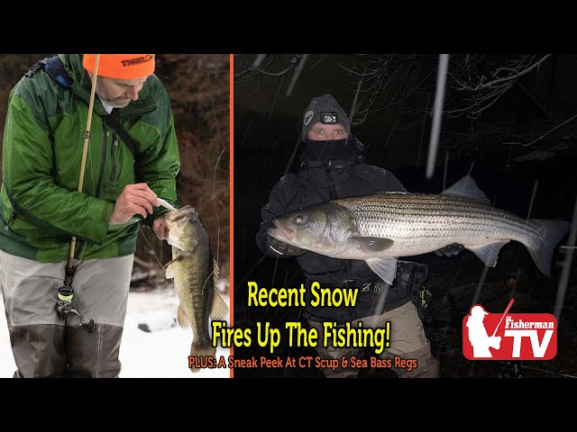 March 2, 2023  New England Video Fishing Forecast with Dave Anderson