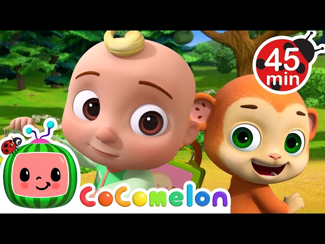 Munch Lunch Song 🍕 |  CoComelon Animal Time | Animals for Kids