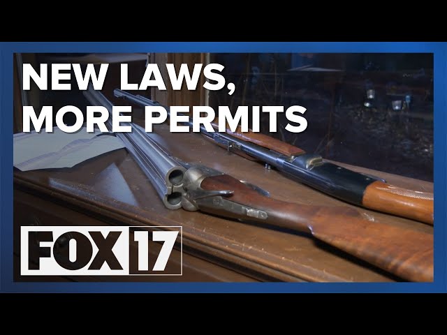 Permit traffic picks up as Michigan's new guns laws go into effect