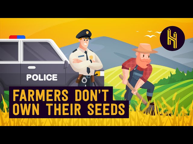 Why Farmers Can’t Legally Replant Their Own Seeds