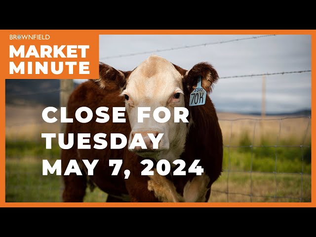 Cattle futures gained ground Tuesday | Closing Market Minute