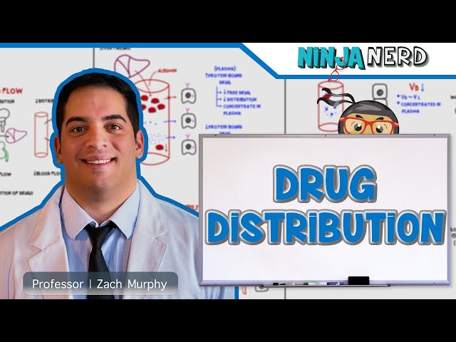 Pharmacokinetics | Drug Distribution