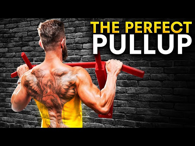 PULL UPS: Everything You Need to Know!