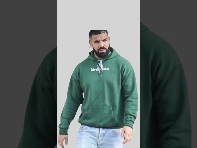 Drake Spotted Wearing Fake Birdhouse