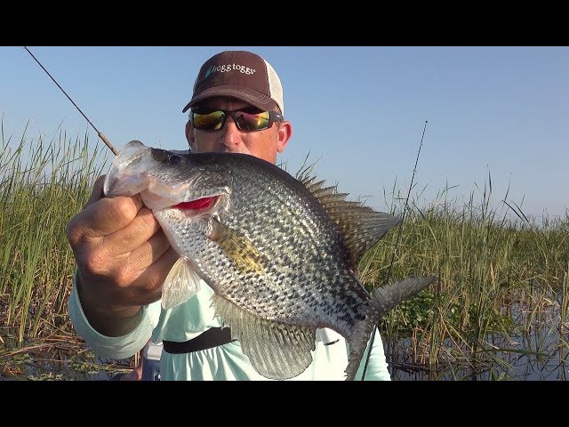 Crappie fishing in the thickest brush imaginable!!! {Catch Clean Cook}