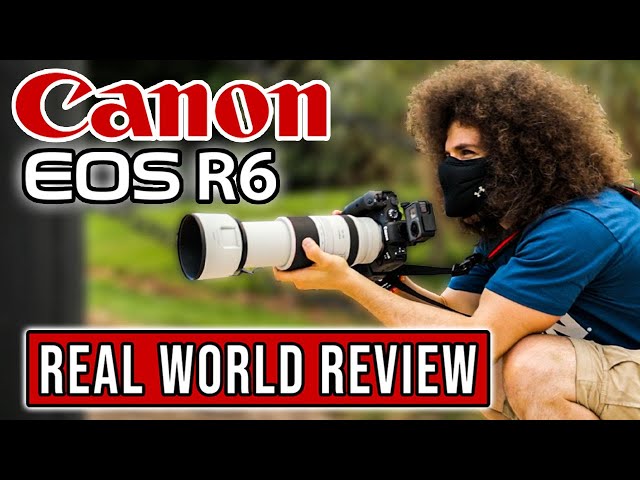Canon EOS R6 Real World Review: The Ultimate Hybrid Mirrorless Camera?!