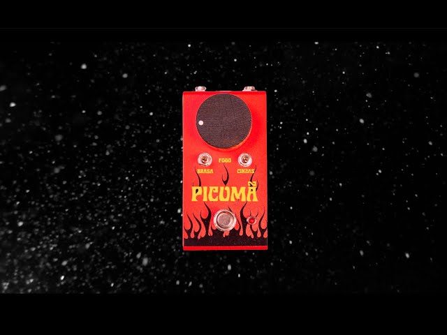 Wintter Labs - Picumã Fuzz demo video