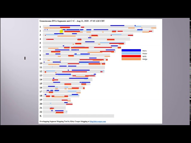 DNA Segment Mapping mit Excel
