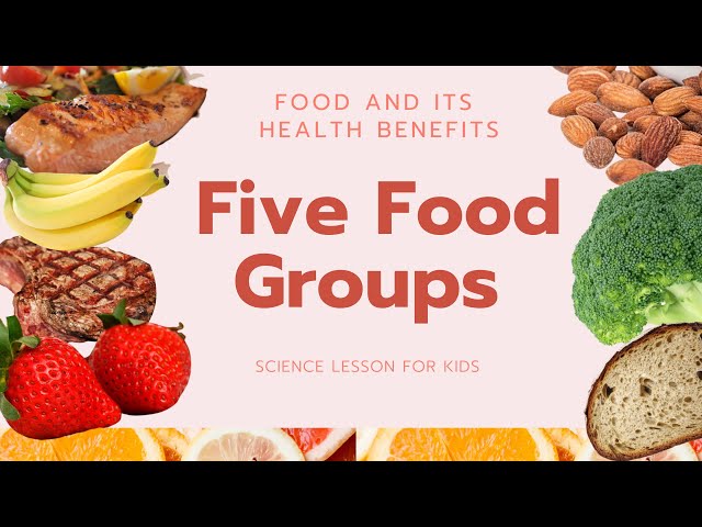 Five Food Groups | Food and its Health Benefits | Science Lesson for Kids