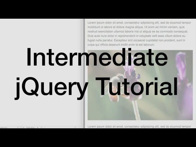 jQuery Variables, Functions, and Conditional Logic Tutorial