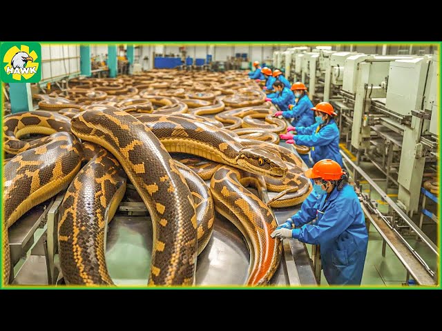 Modern Food Technology Processing Factory at Another Level ►2