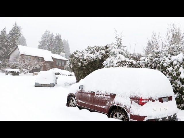 Winter storm snarls traffic and closes schools across British Columbia