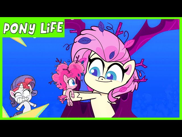 Pony Life | NEW | The Missing Animals in the Forest  | MLP Pony Life