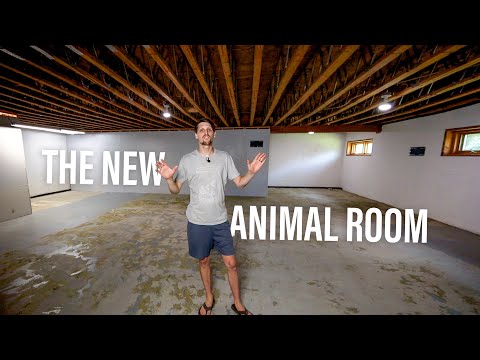 Creating The New Animal Room