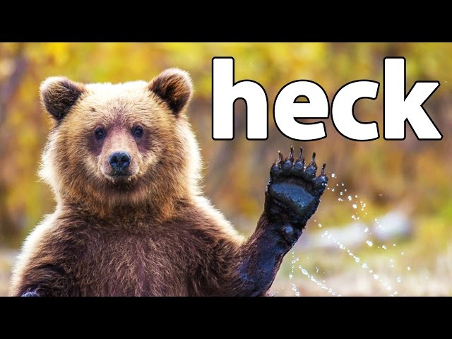 HECK | Bear Simulator