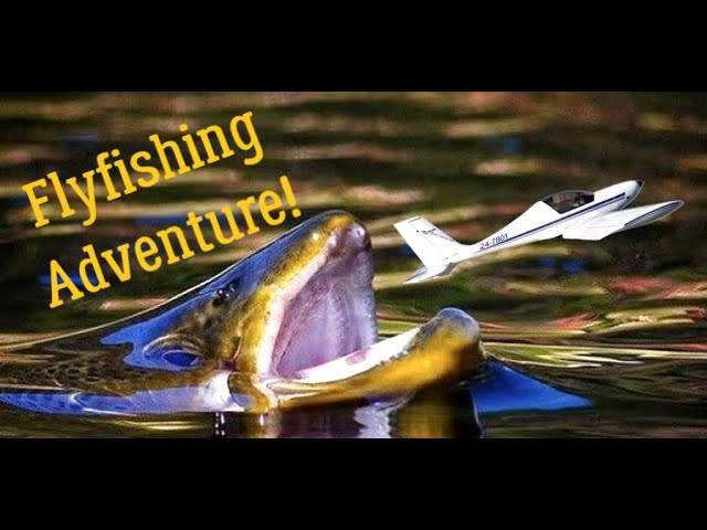 Aviation fishing! Porepunkah & Buckland River