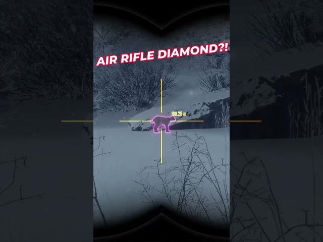 Shooting an EXTREMELY RARE DIAMOND with the AIR RIFLE?! | Call of the Wild #shorts