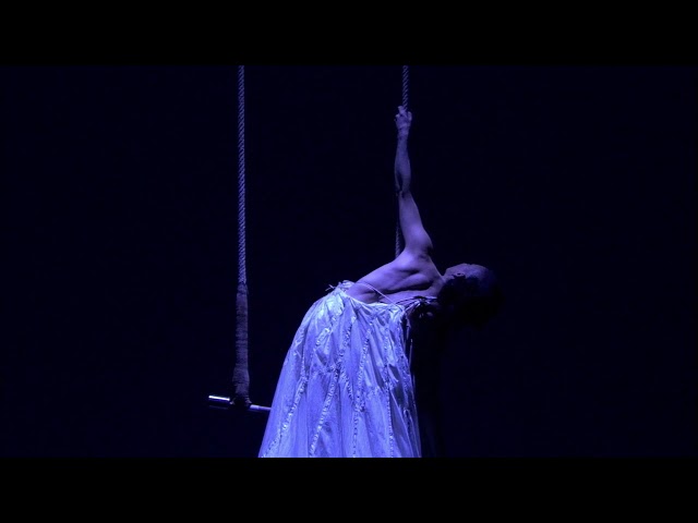 Performance by Aerailist Dana Dugan