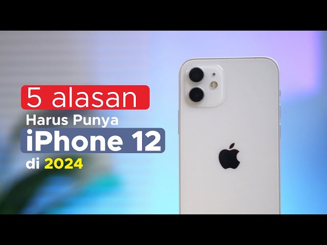 Makin Yakin Beli iPhone 12 di Tahun 2024! Ini Alasannya!