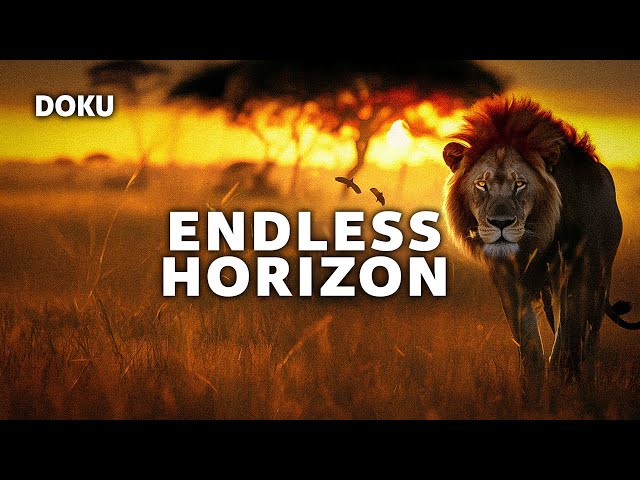 Endless Horizon (animal documentary | Africa documentary | complete documentary in German)