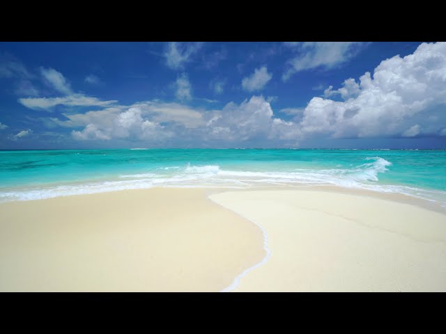 The Perfect Paradise Beach Scene in 4K: White Sand, Blue Water & Waves - Two Hours