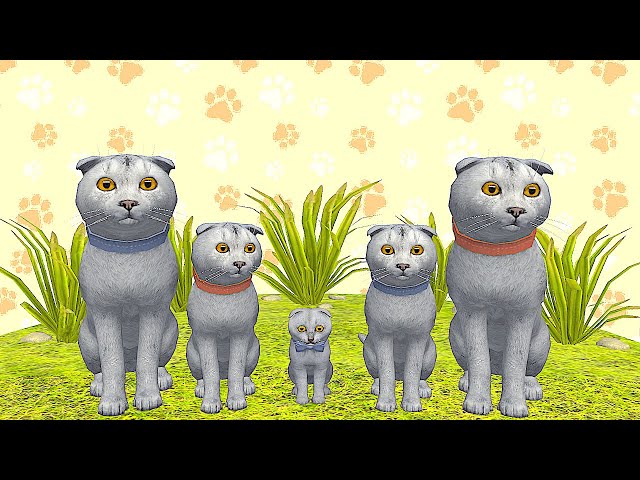 Little Cat Simulator : Kitties Family NEW Baby Adventure Games iOS - Play Fun Cute Kitten #11