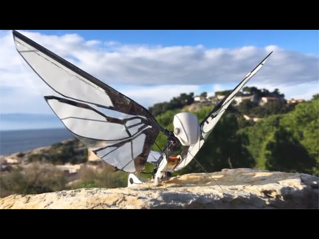 Amazing Flying Robots you must see