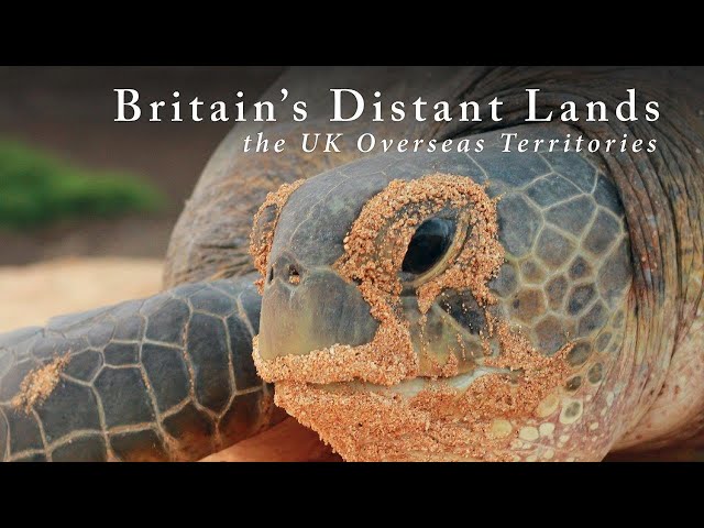 Britain's Distant Lands - The Wildlife of the UK Overseas Territories