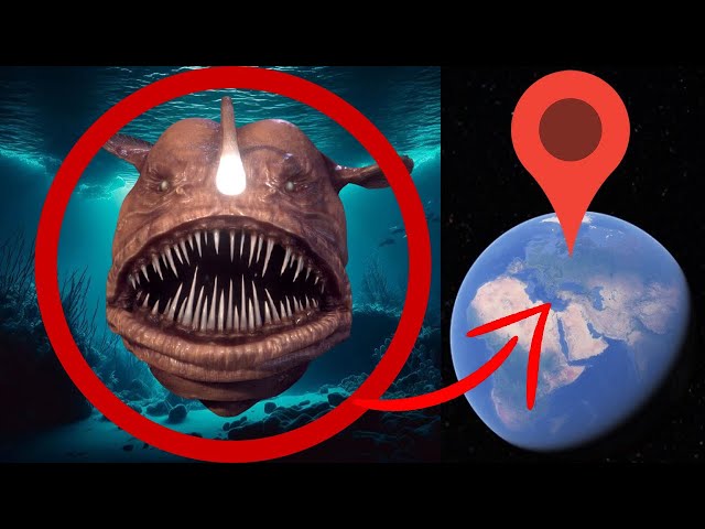 How to find Giant  Monster Fish on Google Earth?