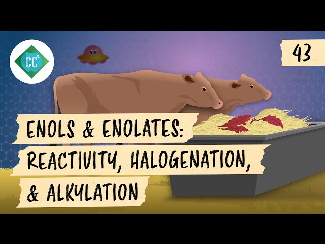 Enols and Enolates - Reactivity, Halogenation, and Alkylation: Crash Course Organic Chemistry #43