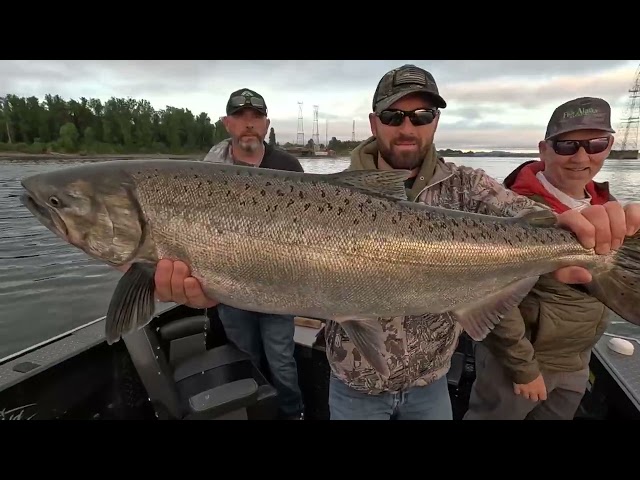 Columbia River 360 Spinner Salmon Beatdown