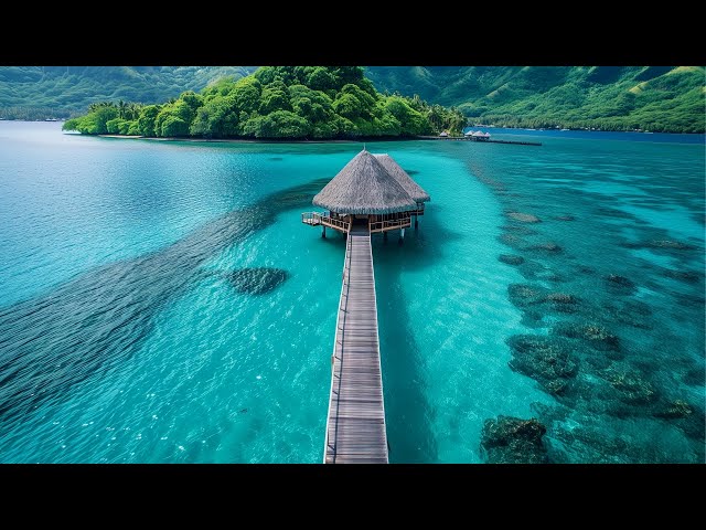 Tropical Caribbean Beach Music Travel Video with Beautiful Views of Beach Travel Destinations