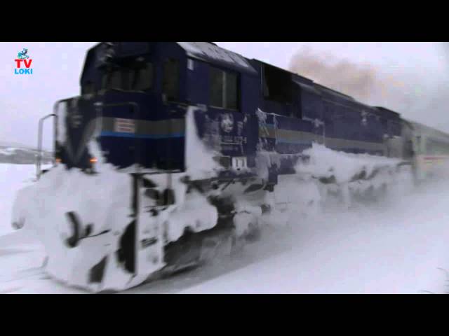 Trains in snow / Vlakovi u snijegu