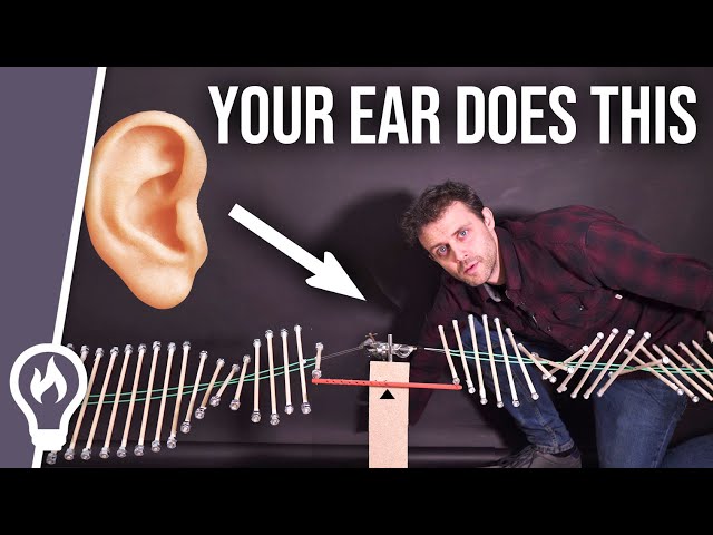 There's a Lever in Your Ear and It Does Something Amazing