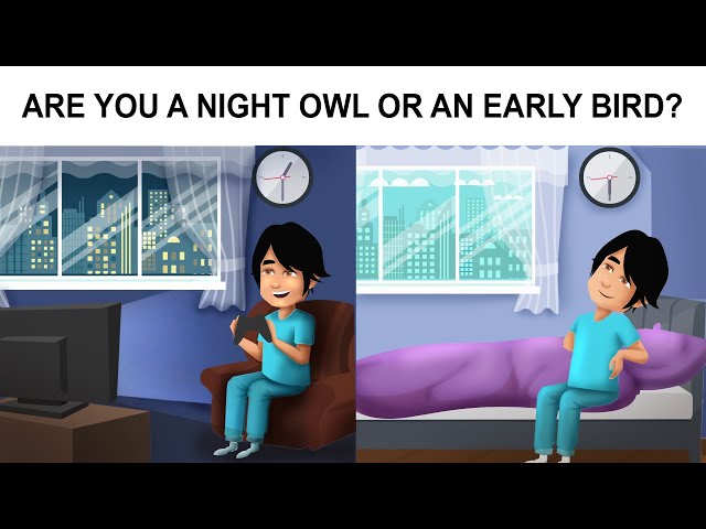 Are You a Night Owl or an Early Bird? - A New Roommate