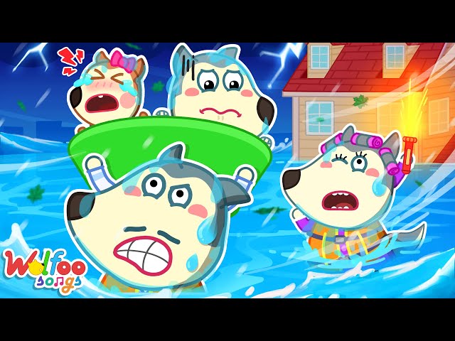 Our House is Flooded 🏡🌊 Daily Safety Song 🎶 Wolfoo Nursery Rhymes & Kids Songs