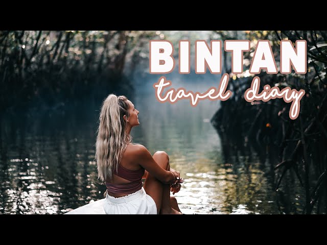 BINTAN ISLAND TRAVEL DIARY | Travel Vlog 2020