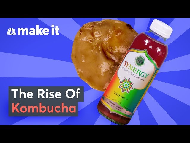 How Kombucha Became A $500 Million Opportunity